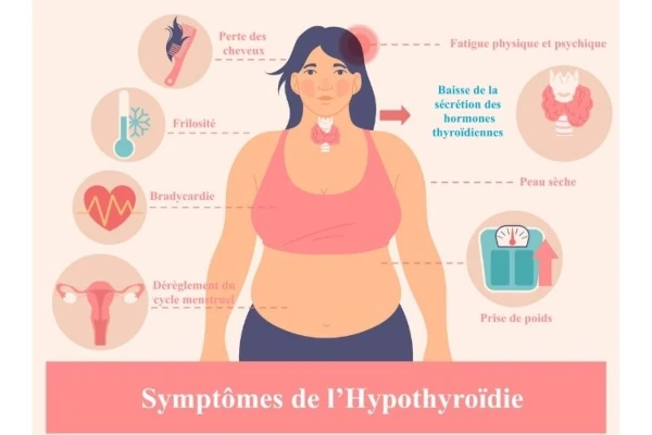 Les symptômes de l'hypothyroïdie
